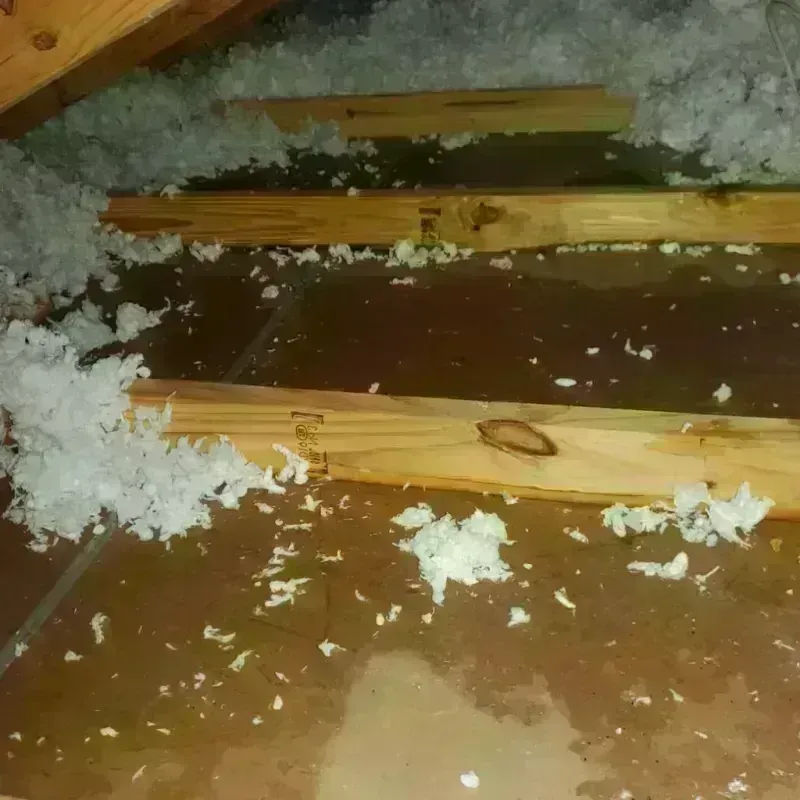 Attic Water Damage in Rantoul, IL