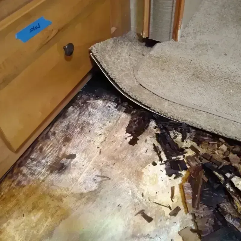 Wood Floor Water Damage in Rantoul, IL